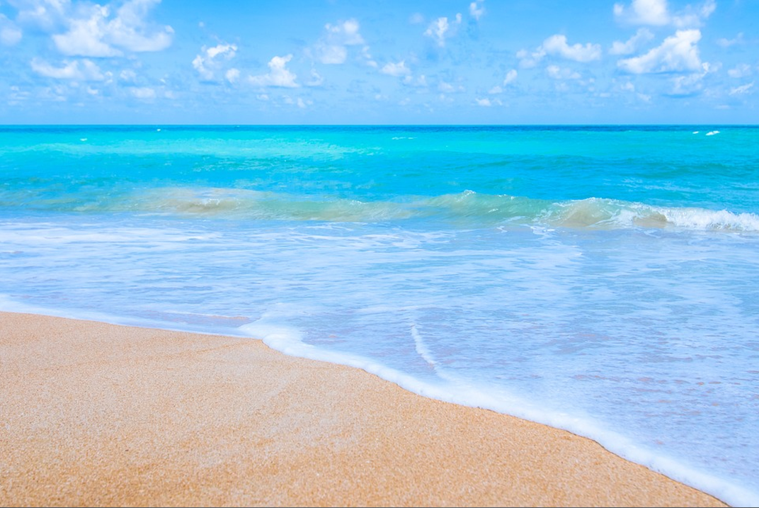 Exotic Andaman