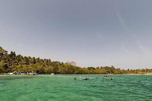 Exotic Andaman
