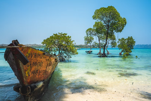 Exotic Andaman